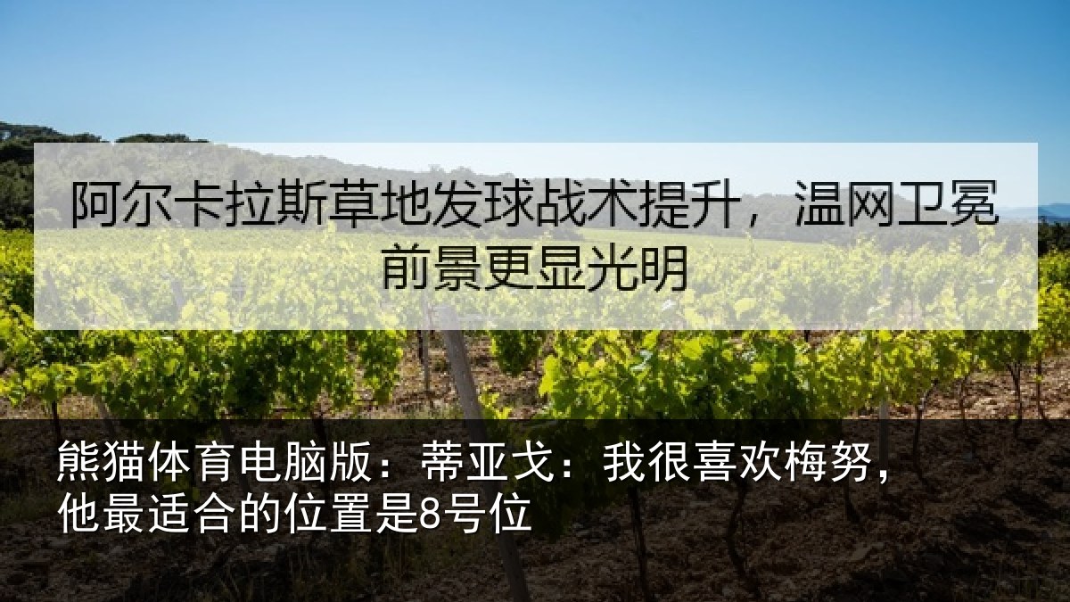 熊猫体育电脑版：蒂亚相关情况最适合的位置是8号位