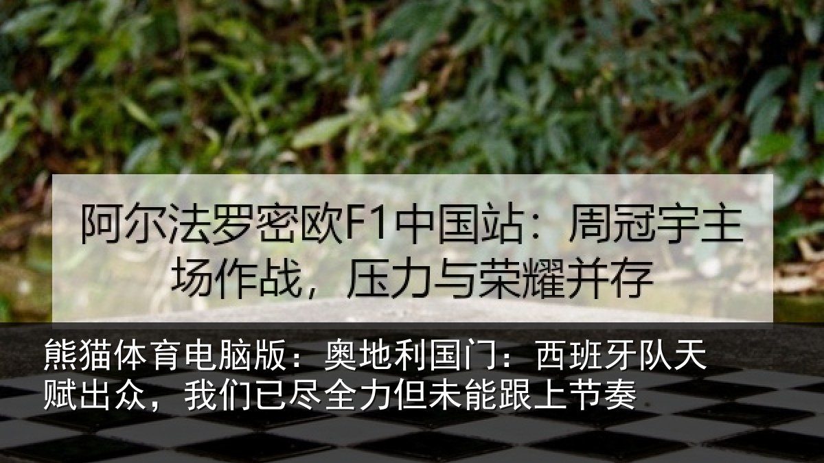 熊猫体育电脑版:奥地相关情况赋出相关情况未能跟上节奏