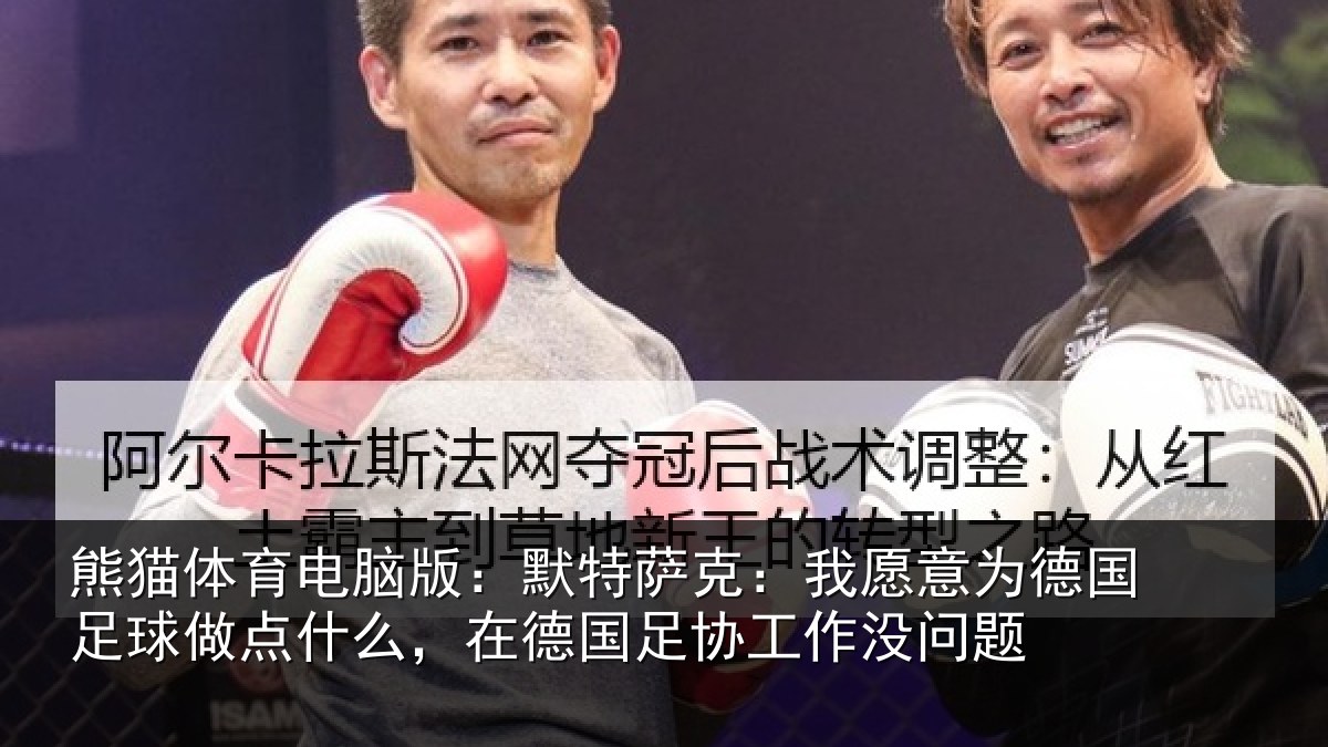 熊猫体育电脑版:默特萨克:我愿意相关情况么,在德国足协工作没问题