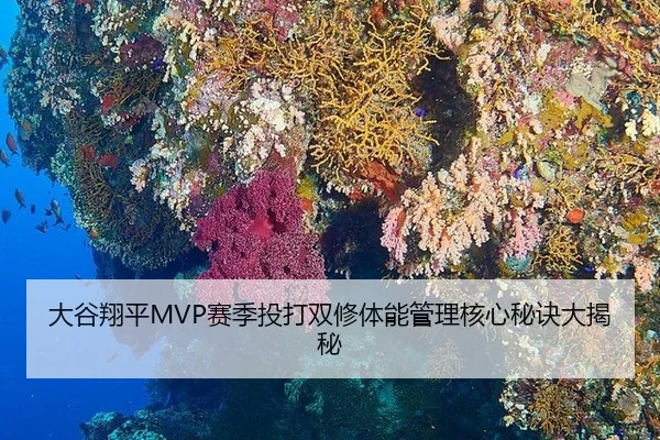 da-gu-xiang-ping-sai-ji-tou-da-shuang-xiu-ti-neng-guan-li-he-xin-mi-jue-da-jie-mi-2-738.jpg