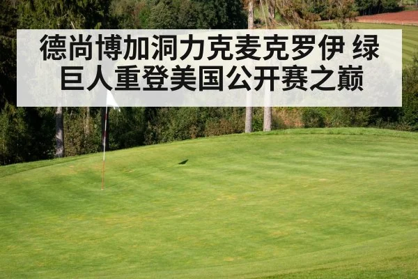 德尚博加洞力克麦克罗伊 绿巨人重登美国公开赛之巅